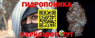 прущие грибы Туймазы