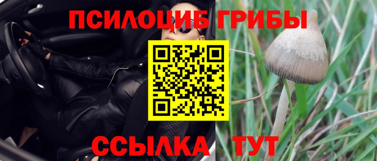 Галлюциногенные грибы Cubensis  Вход с VPN  Галлюциногенные грибы Psilocybine cubensis  Нижневартовск 